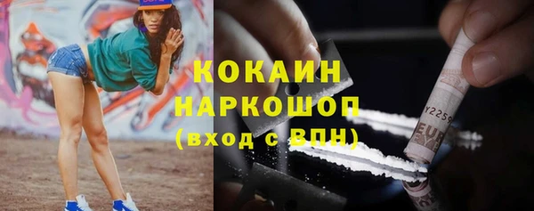 гидра Пересвет