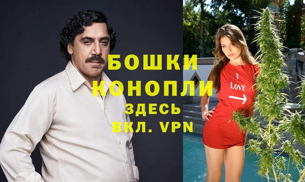 дурь Переславль-Залесский