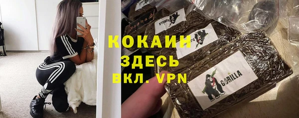 гидра Пересвет