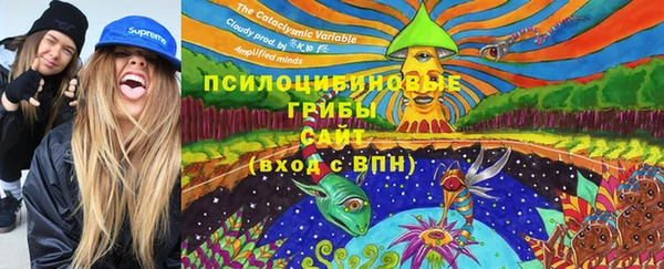 СК Пестово